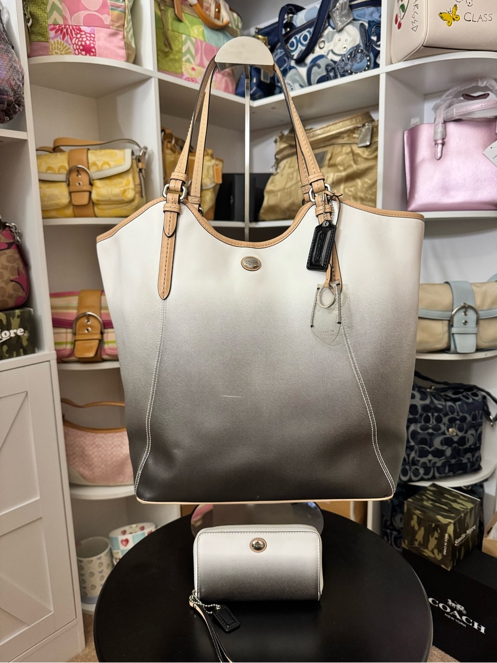 Coach Peyton Ombré Tote and Wallet Set